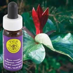 Flower Essence Services Trillium (0.25 fl oz) #8340