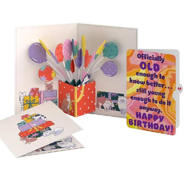 Curious Cats Birthday Pop-Up Card and Sentiment Set