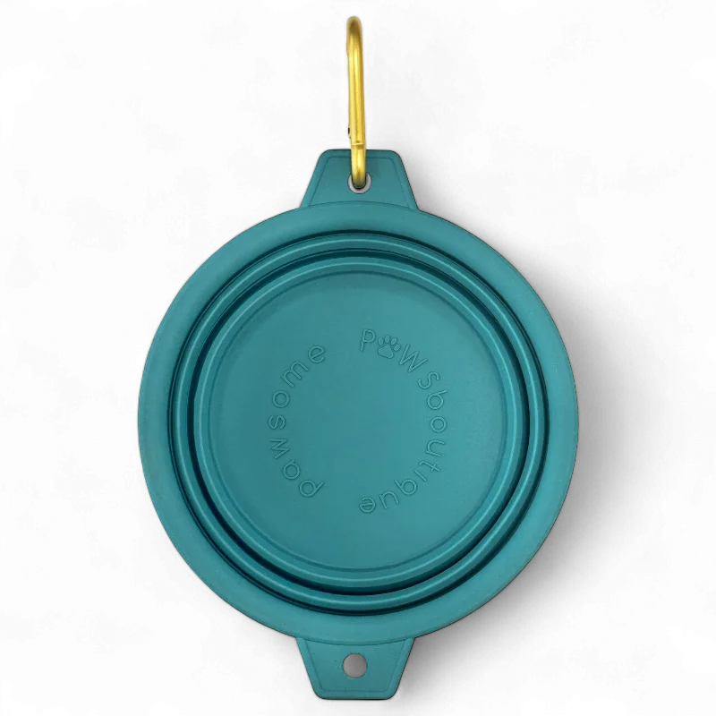 Collapsible Dog Bowl - Teal (Gold Clip)