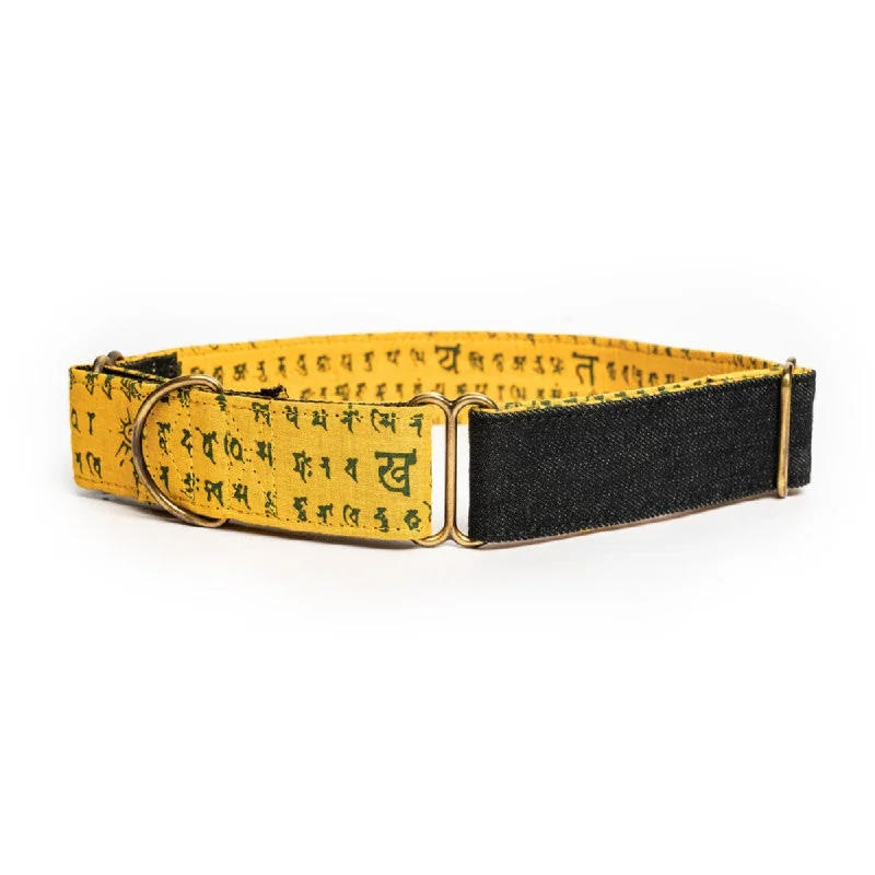 6. **Dog collar is luminous and reflective**PetWale Denim Martingale Collar for Dogs (Black)