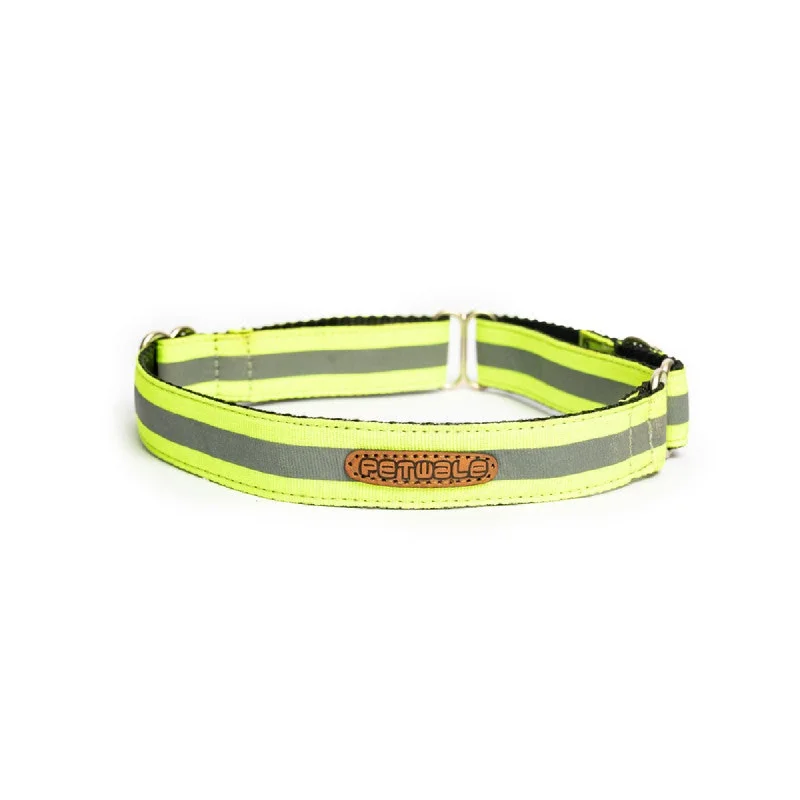 5. **Dog toy sound ball**PetWale Reflective Martingale Collar for Dogs (Green)